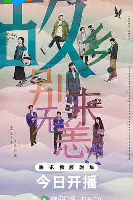 攀枝花手机网站优化服务